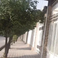 مغازه لب خیابان داخل شهر