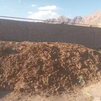 کود حیوانی گاوی