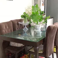 مبلمان و میز ناهارخوری