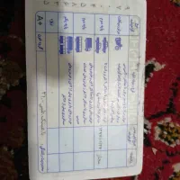 مدارک پیداشده