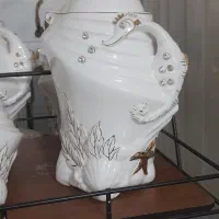 پاسماوری درحدنو