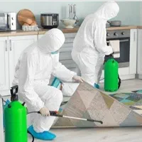 شرکت سمپاشی ساس کنه کک موش سوسک بید مایت گال