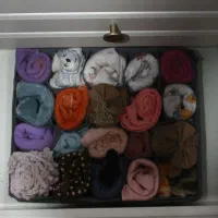 لونه زنبوری دیواره دار