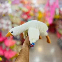 عمده فروشی عروسک خارجی|عمده‌فروشی|شیراز, سیاه سنگ|دیوار