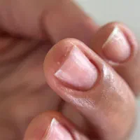 آموزش تخصصی مانیکور روسی و سالنی|خدمات آموزشی|رشت, کاکتوس|دیوار