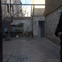 137مترسه طبقه اواسط زرافشان