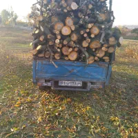 خریدفروش و هرس انواع چوب های باغی|خدمات باغبانی و درختکاری|سورک, |دیوار