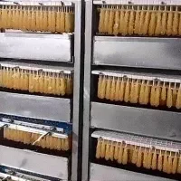 خط تولید نبات سنتی و صنعتی|ماشین‌آلات صنعتی|اسلام‌شهر, صادقیه|دیوار