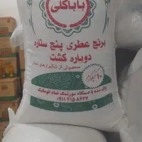 برنج پاکستانی غزال|خوردنی و آشامیدنی|سبزوار, امیر کبیر|دیوار