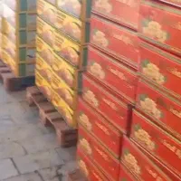 کشمش پلویی|خوردنی و آشامیدنی|ملایر, |دیوار