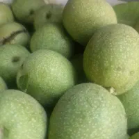 گردو درجه یک پوست کاغذی