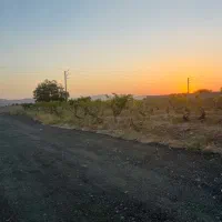باغچه-300-متر-سند-تکبرگ-عرصه-و-عیان