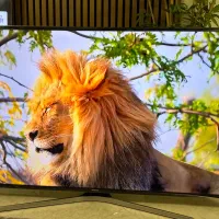 تلوزیون LEDسامسونگ ۵۰اینچ