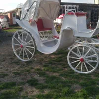 کالسکه اسب درشکه|اسب و تجهیزات اسبسواری|تهران, آبشار|دیوار