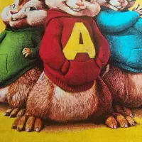 قالی سنجاب ها|فرش|شیراز, قالیشویی|دیوار