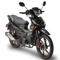 موتور سیـکلت شهری هرم اسپـید 130 سی سی