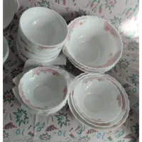 ظروف آرکوپال فرانسوی پنج ستاره|ظروف سرو و پذیرایی|بیرجند, |دیوار