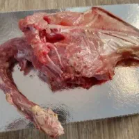 اسکلت مرغ گوشتی همراه گردن و بچه فیله