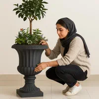 گلدان بزرگ پایه دار شهری فضای باز در تبریز|گل و گیاه طبیعی|خسروشاه, |دیوار