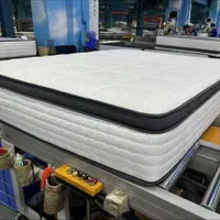 تشک طبی ارتوپدی مخصوص دیسک کمر