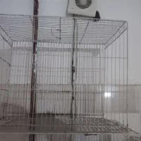 قفس|لوازم جانبی حیوانات|مشهد, ایثار|دیوار