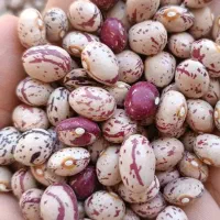 فروش|خوردنی و آشامیدنی|اندیمشک, |دیوار