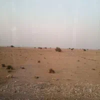 زمین کشاورزی 1000