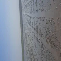 تسطیح لیزری|خدمات باغبانی و درختکاری|شوشتر, |دیوار