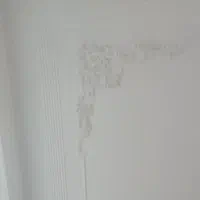 لکه گیری ،گچکاری