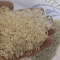 برنج کامفیروز