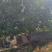 باغ شهری فاروق|فروش خانه و ویلا|سیدان, |دیوار