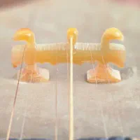 تار ایرانی|سازهای سنتی|تبریز, |دیوار