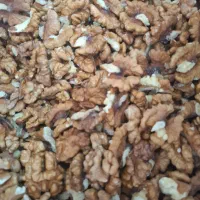 پخش آجیل خشکبار|خوردنی و آشامیدنی|اهواز, بنکداری|دیوار
