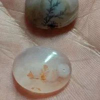 شجر معدنی قائن