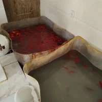 ماهی قرمز|ماهی|قم, شاه ابراهیم|دیوار