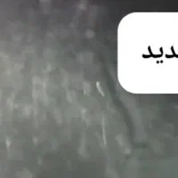 تاکسی بوشهر دربستی پارس راننده پایه یک 27|خدمات حمل و نقل|بوشهر, |دیوار