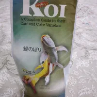 غذای ماهی گلفیش کوی