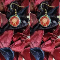 گوشواره استیل رزین