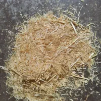 کاه برات میارم در دامداریت