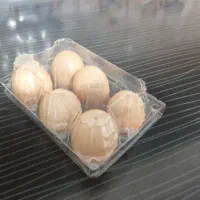 بسته بندی تخم مرغ پلاستیکی شانه طلقی