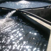 پرورش ماهی ـ باغ