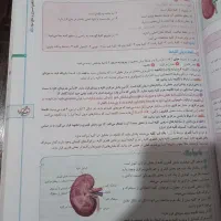 زیست دهم خیلی سبز|کتاب و مجله آموزشی|رشت, پاره بیجار|دیوار