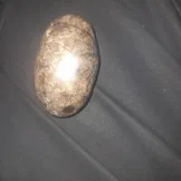 سنگ مرجان زیبا|کلکسیون اشیاء عتیقه|فولادشهر, B4|دیوار