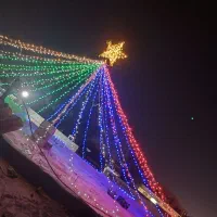 ریسه ای علیرضا