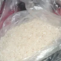 برنج هاشمی ۶۰۰ کیلو  کفترود|خوردنی و آشامیدنی|رشت, کوی حسینی|دیوار