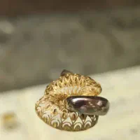 طلا بدون اجرت فروش فوری|جواهرات|بوشهر, |دیوار