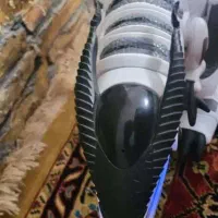 دایناسور رباتی|اسباب‌‌بازی|شیراز, غدیر جنوبی|دیوار