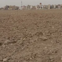 معاوضه زمین مسکونی با ماشین یا دام