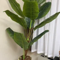 درختچه مصنوعی موز