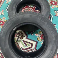 یک جفت لاستیک رودباس